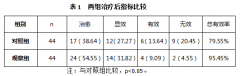 绿色通络养巢综合疗法治月经不调的效果观察